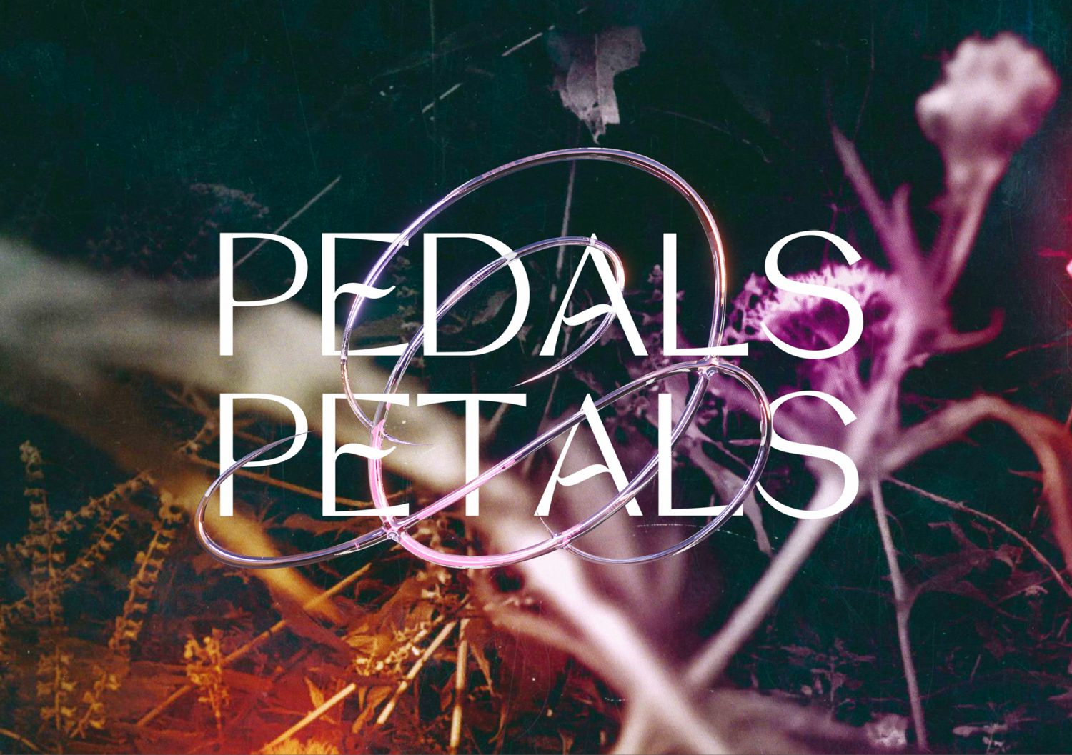 Pedals & Petals Call for Creatives
